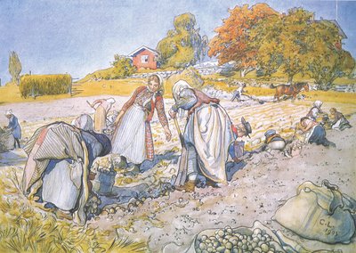 The children filled the buckets and baskets with potatoes by Carl Larsson